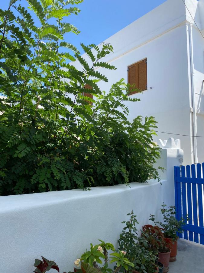 Blue Pearl Apartment Glinado Naxos Exteriör bild