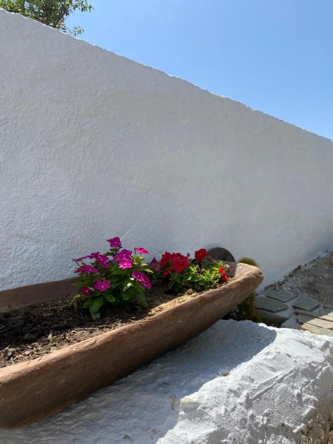 Blue Pearl Apartment Glinado Naxos Exteriör bild
