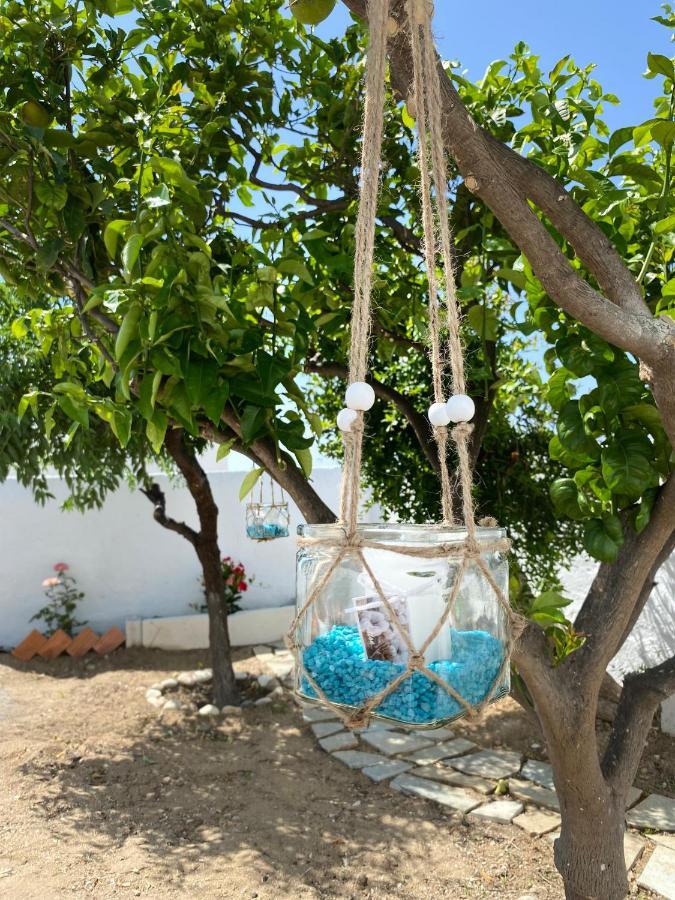 Blue Pearl Apartment Glinado Naxos Exteriör bild
